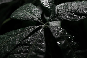 从游戏玩家到AI裁判，这场跨界变革你跟上了吗